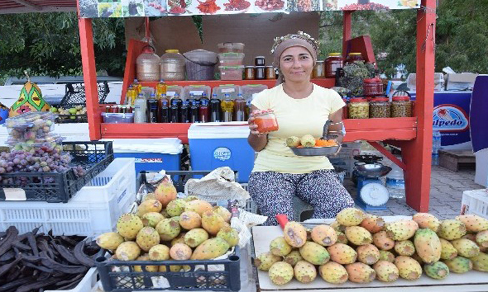 Üniversiteli Sibel’in girişimcilik hikayesi