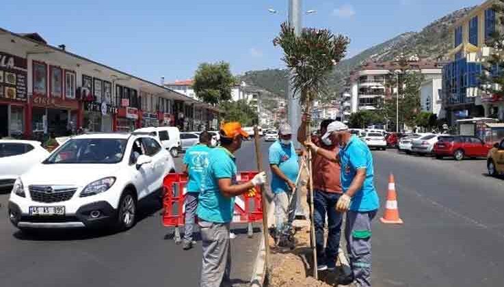 Yeni Prestij Caddesi’ne Zakkum ekildi