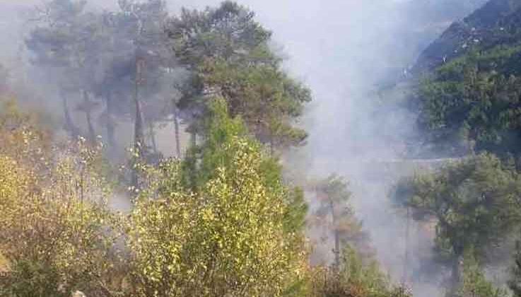 Manavgat’da yanan orman arazilerine fidan dikilirken, başka bir bölgede çıkan yangın büyümeden söndürüldü
