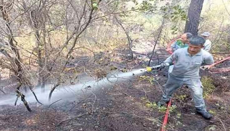 Antalya’da orman yangını büyümeden söndürüldü