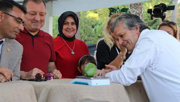 Alanya’nın en ağır avokadosu 610 gramla ödülü aldı