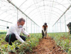 Büyükşehir’den mevsimlik tarım işçilerine destek