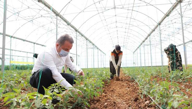 Büyükşehir’den mevsimlik tarım işçilerine destek