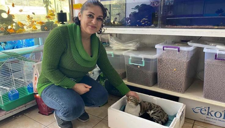 Kaldığı yerin tadilatı yüzünden dışarıda kalan kedi, 3 yavrusuyla esnafa sığındı