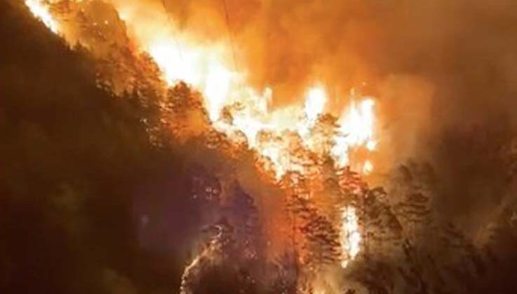 Alanya’da orman yangını