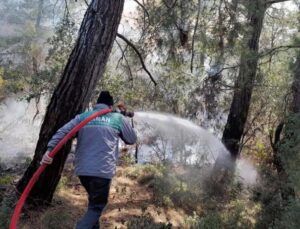 Antalya’daki orman yangını 2 saatte kontrol altına alındı