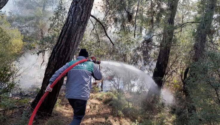 Antalya’daki orman yangını 2 saatte kontrol altına alındı