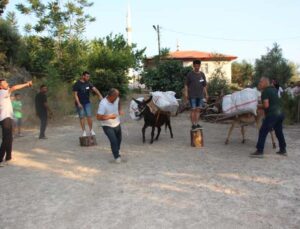 Eşeğe saman balyası yüklemek için kıyasıya yarıştılar