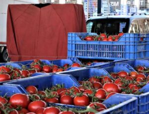 Antalya’da domates miktarı azaldı, fiyat endeksi arttı