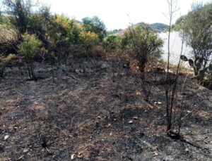 Alanya’da, bahçe yangınında meyve ağaçları ve sulama sistemi zarar gördü