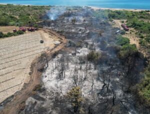 Manavgat’taki orman yangınında ihmal iddiası