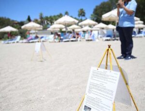 Alanya plajlarında caretta caretta yumurtaları otellerin koruması altında