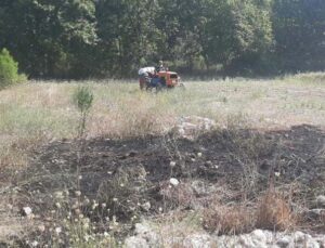 Manavgat’taki yangın ormana sıçramadan söndürüldü