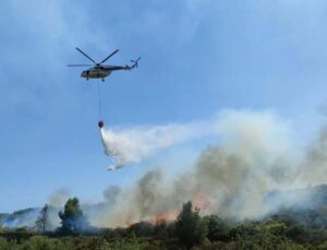 Antalya’daki orman yangını 2 saatte kontrol altına alındı, 3 hektar zarar gördü