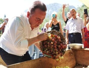 Antalya Gastronomi Festivali’nin ikinci gününde mor üzüm hasadı