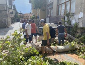 Gövdesi çürüyen asırlık çınar ağacı sokak üzerine devrildi