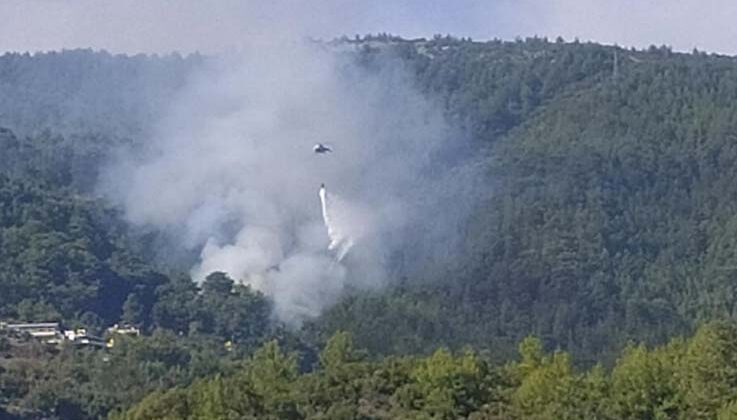 Alanya’da orman yangını