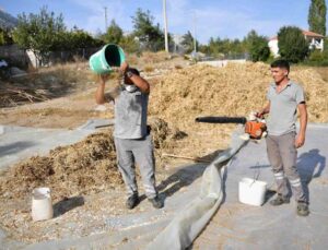 Lezzetiyle ünlenen Çandır fasulyesinde hasat zamanı