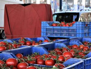 Antalya’da domates miktarı azaldı, sebze miktarı arttı