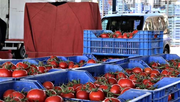Antalya’da domates miktarı azaldı, sebze miktarı arttı
