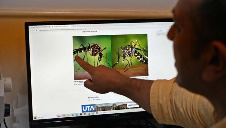 Böcek profesöründen ’sivrisinek’ uyarısı: Kış uykusuna yatmadılar, kan emmeye devam ediyorlar