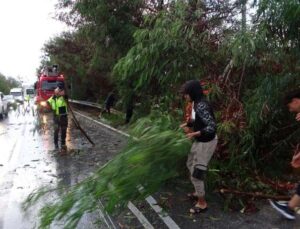 Antalya’da fırtına ağaçları devirdi, karayolunda trafik aksadı