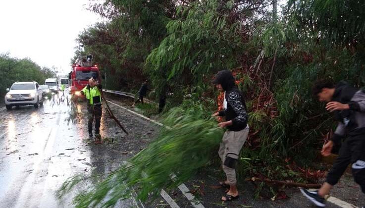 Antalya’da fırtına ağaçları devirdi, karayolunda trafik aksadı