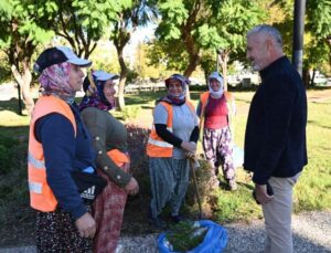 Manavgat Belediyesi’nin ilçeyi yeşillendiren kadınları