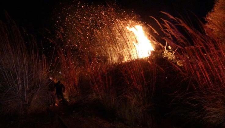 Manavgat’ta sazlık alanda yangın
