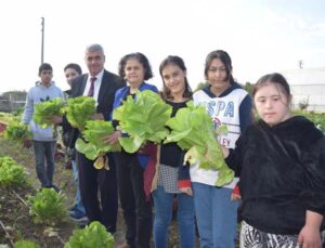 Özel öğrenciler, tarım lisesi öğrencilerinin ürettikleri mantarları ve sebzeleri birlikte topladı