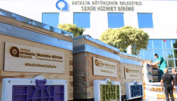 Antalya Büyükşehir’den Serikli üreticilere büyük destek
