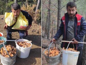 Mevsiminde topladığı mantarları satarak ayda yaklaşık 90 bin lira kazanıyor