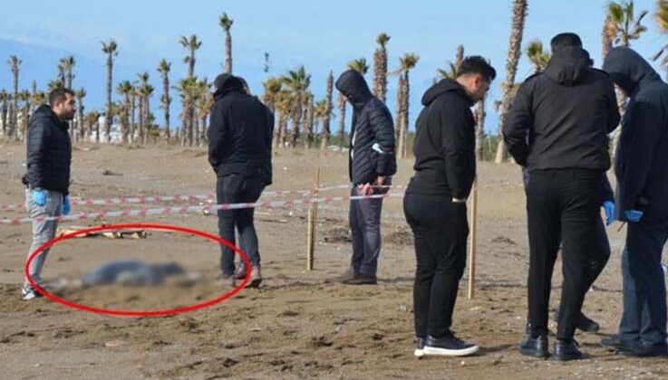 Antalya’da sahilde 2 ceset daha bulundu, ceset sayısı 8 oldu