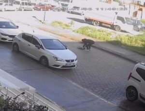 Otomobilin çarpıp kaçtığı kedi, sahibinin kucağında öldü