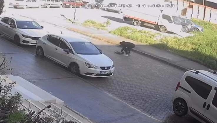 Otomobilin çarpıp kaçtığı kedi, sahibinin kucağında öldü