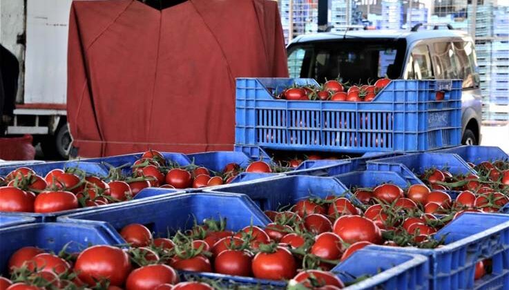 Antalya’da sebze miktarı azaldı, fiyatlar arttı