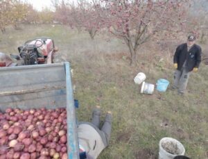 Tarlada çalışan babaya ’dron’ şakası gülme krizine soktu