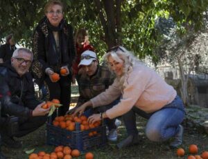 Büyükşehir turunçları reçele dönüştürüyor