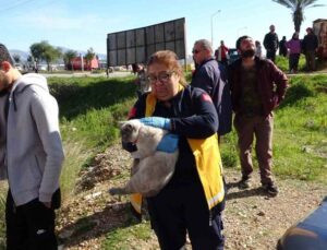 Tutuşan izolasyon malzemeleri çatıyı küle çevirdi, bina sakinleri gözyaşlarına hakim olamadı