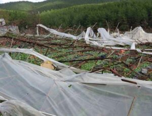 Alanya’da hortum 250 dönümden fazla seraya zarar verdi