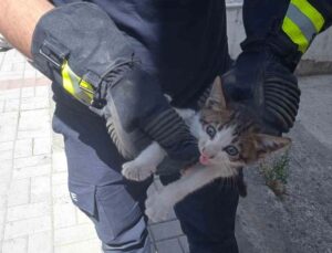 Alanya’da motosikletin içine sıkışan kedi 15 dakikalık çalışmayla kurtarıldı