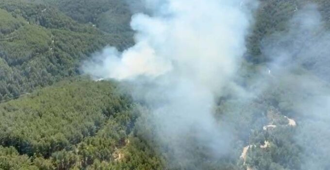 Antalya’daki yangın kontrol altına alındı