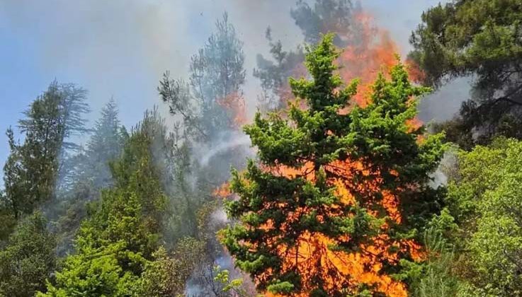 Kemer’de çıkan orman yangını büyümeden söndürüldü