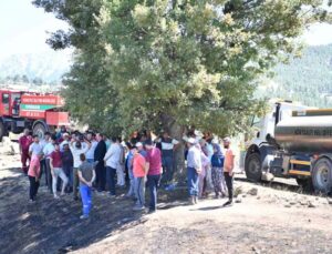 Başkan Kotan, Doyran’daki yangın alanında incelemelerde bulundu