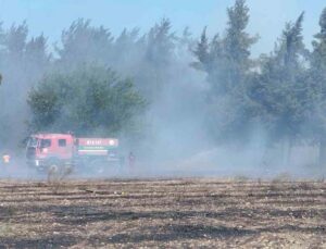 Antalya’da boş arazide çıkan yangın ormanlık alana sıçradı