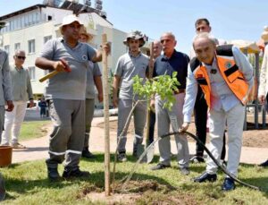 Yenilenen parka ilk ağaç fidanı Kocagöz’den