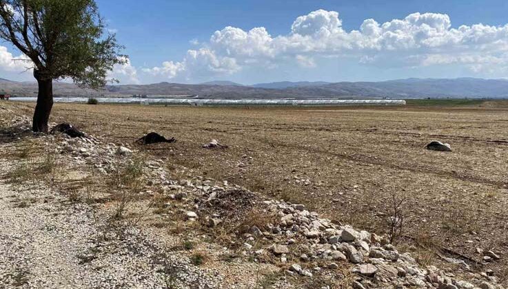 Korkuteli’nde su baskını sebebiyle onlarca hayvan telef oldu