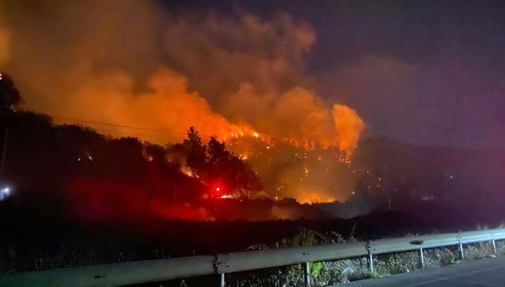 Antalya’da ormanlık alandaki yangın kontrol altına alındı