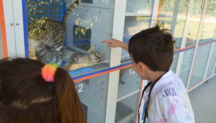 Konyaaltı Belediyesi, miniklere hayvan sevgisi aşılıyor