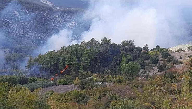 Kumluca’da orman yangınında alevlerin sıçradığı ev kullanılamaz hale geldi